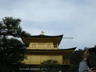 画像 031