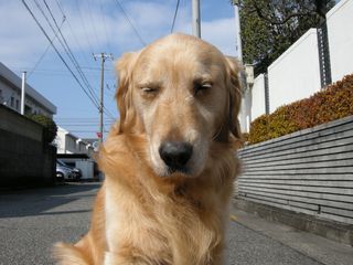 画像 013