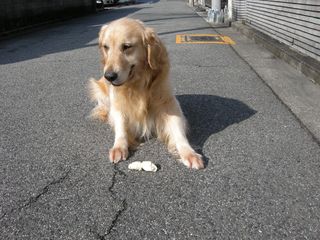 画像 008