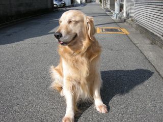 画像 010