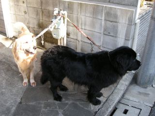 画像 005