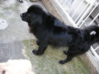 画像 005