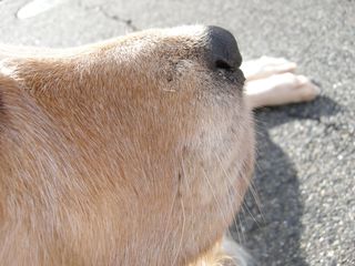 画像 008
