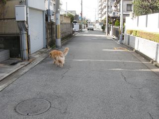 画像 011