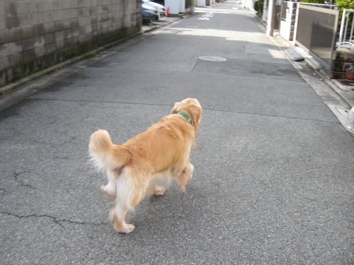 画像 012