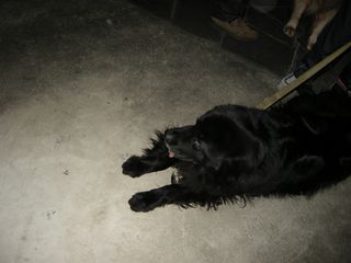 DSCN2735