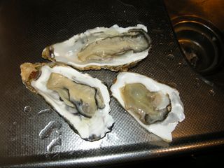 DSCN2729