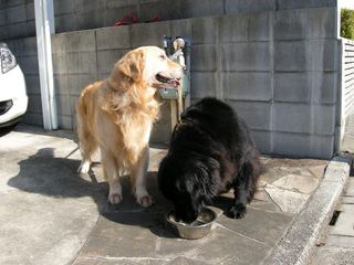 DSCN2709