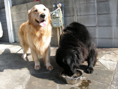 DSCN2711