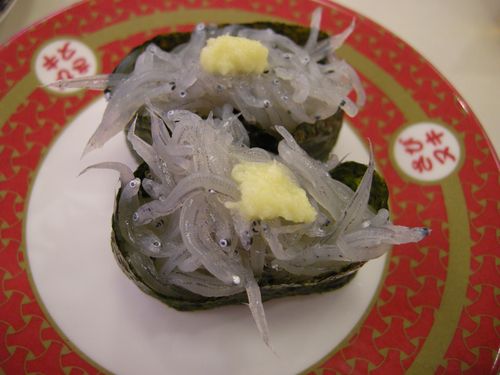 DSCN2650