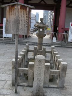 DSCN2599