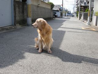 DSCN2570