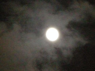 DSCN2540
