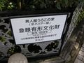 DSCN1995