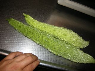 DSCN1873
