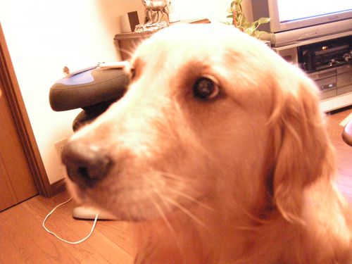 DSCN1723