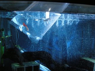 DSCN1716
