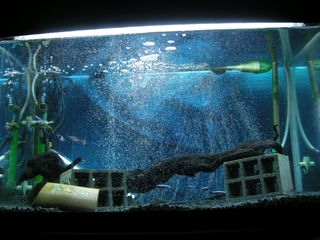 DSCN1726