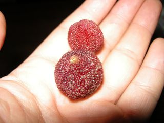 DSCN1692