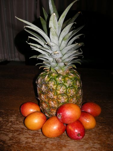 DSCN1679
