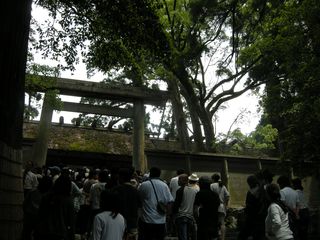 DSCN3646