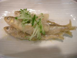 DSCN3632