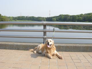 DSCN3500