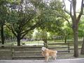 DSCN3496