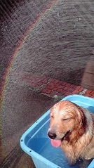 31462993_2013248481s