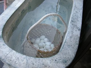 DSCN2410