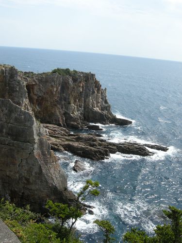 DSCN2419