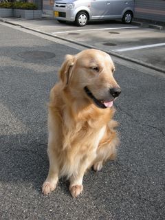 DSCN2382