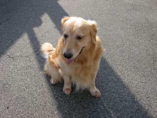 DSCN2386