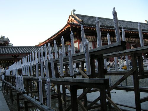 DSCN2281