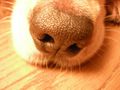 DSCN2254