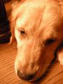 DSCN2255