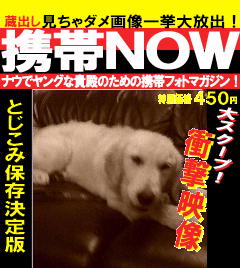 携帯NOW