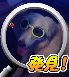 発見