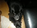 DSCN2163