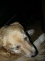 DSCN2169