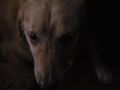 DSCN2174