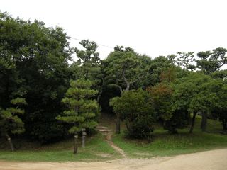 画像 016