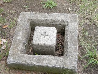 画像 013