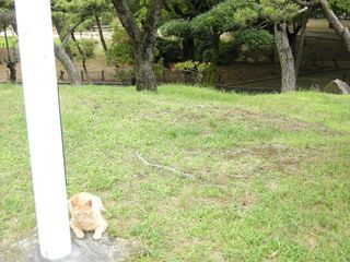 画像 014