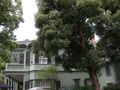 DSCN2041
