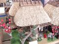 DSCN2079