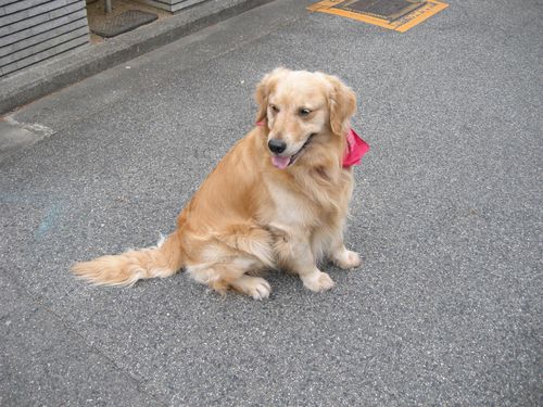 画像 029