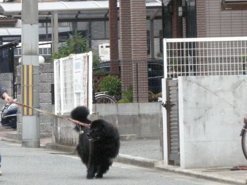 画像 026
