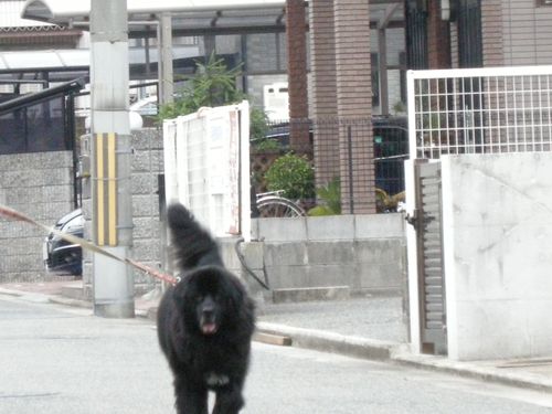 画像 028