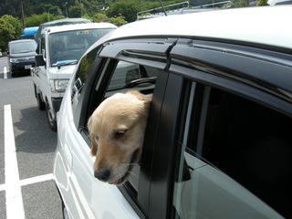 画像 081